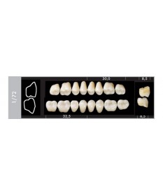 Major Super Lux 8 Molaires...