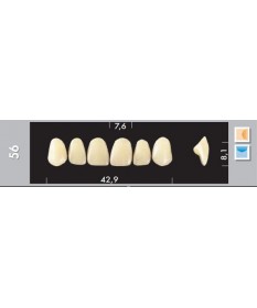 Major Super Lux 6 Incisives...