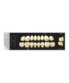 Major Super Lux 8 Molaires...