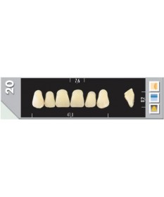 Major Plus 6 Incisives A2 20U