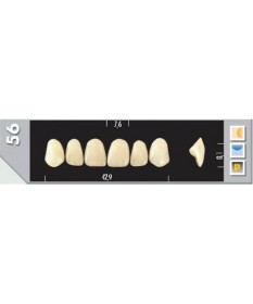 Major Plus 6 Incisives A2 56U