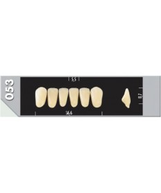 Major Plus 6 Incisives A2 053L