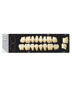 Major Plus 8 Molaires A3 T12L