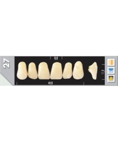 Major Plus 6 Incisives A4 27U