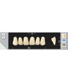 Major Plus 6 Incisives B2 44U
