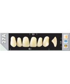 Major Plus 6 Incisives C1 27AU