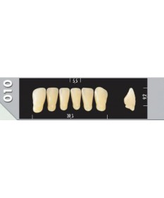 Major Plus 6 Incisives C1 010L