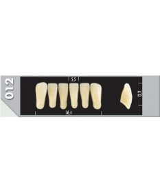 Major Plus 6 Incisives C1 012L