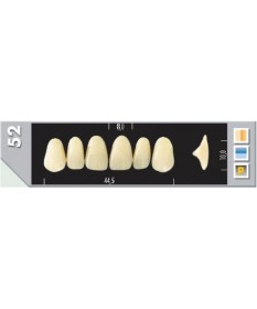 Major Plus 6 Incisives C2 52U