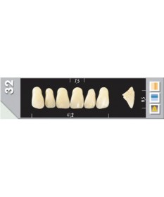 Major Plus 6 Incisives C3 32U