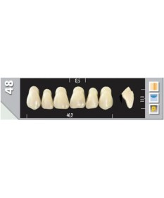 Major Plus 6 Incisives C3 48U