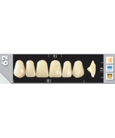 Major Plus 6 Incisives C3 62U