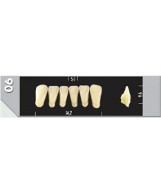 Major Plus 6 Incisives C3 06L