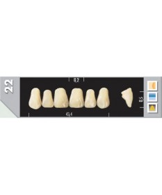 Major Plus 6 Incisives C4 22U