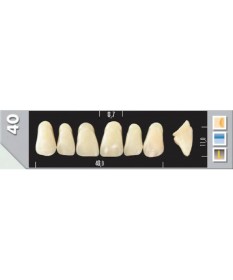 Major Plus 6 Incisives C4 40U