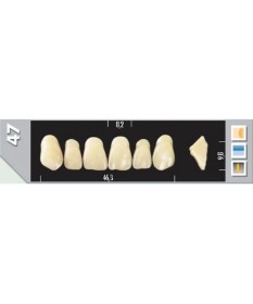 Major Plus 6 Incisives C4 47U