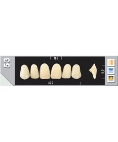 Major Plus 6 Incisives C4 53U