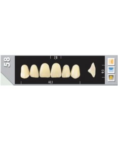 Major Plus 6 Incisives C4 58U