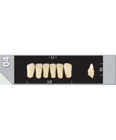 Major Plus 6 Incisives C4 04L