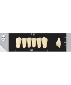 Major Plus 6 Incisives C4 08L