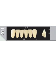 Major Plus 6 Incisives C4 011L
