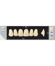 Major Plus 6 Incisives D3 59U