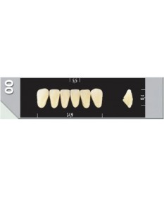 Major Plus 6 Incisives D4 00L