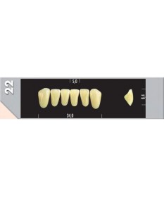 Major Dent  6 Incisives 22L A2