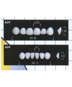Bambino Tooth Major...