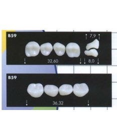 Bambino Tooth Major...