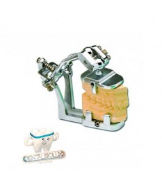 Articulateur Fixation...