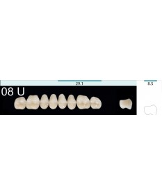 Quint  8 Postérieures Sup 8 A2