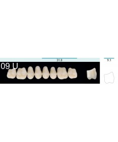 Quint  8 Postérieures Sup 9 B3
