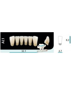 Quint  6 Incisives Inf AL1 D2