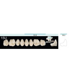 Quint  8 Postérieures Sup...