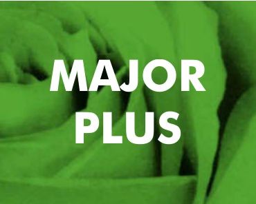 Major Plus